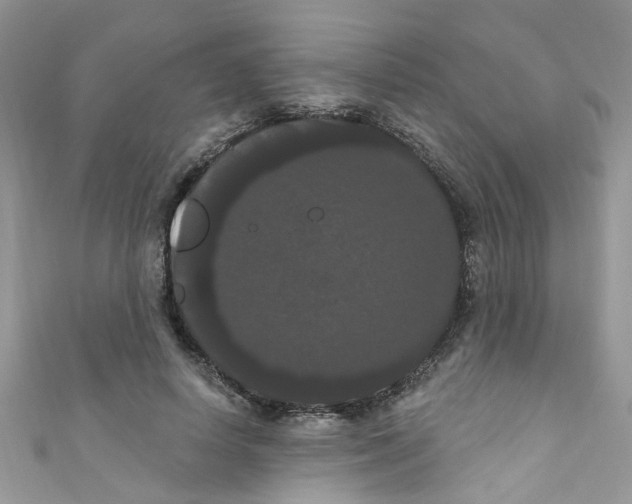 X0000111020642200907171856