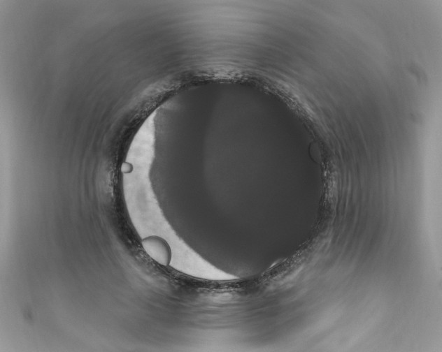 X0000111020643200907171856