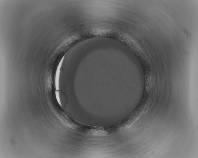 X0000111020644200907171856