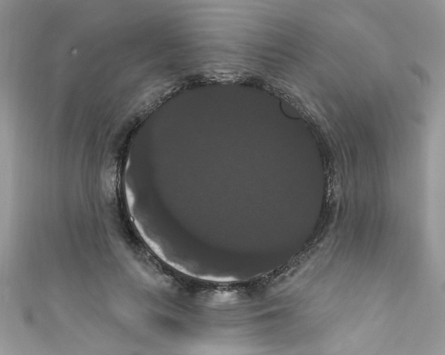 X0000111020647200907171856