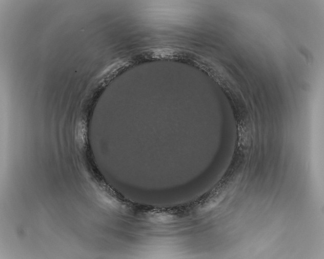 X0000111020648200907171856