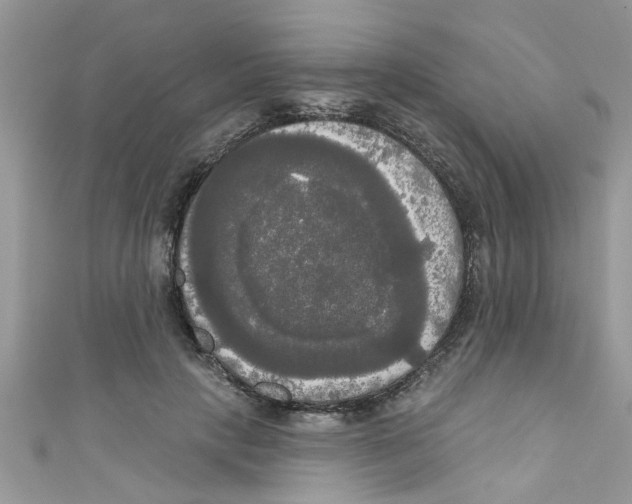 X0000111020649200907171856