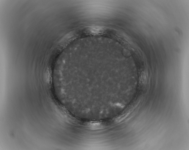 X0000111020651200907171856