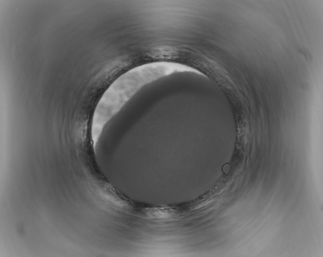 X0000111020652200907171856