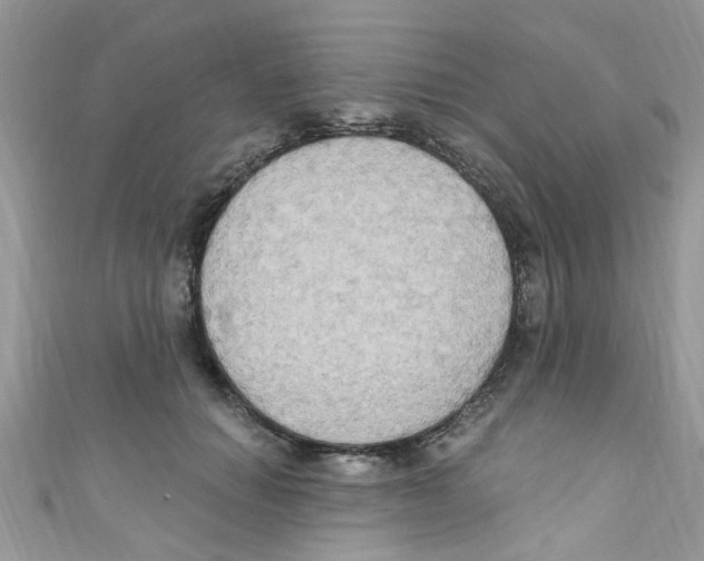 X0000111020654200907171856