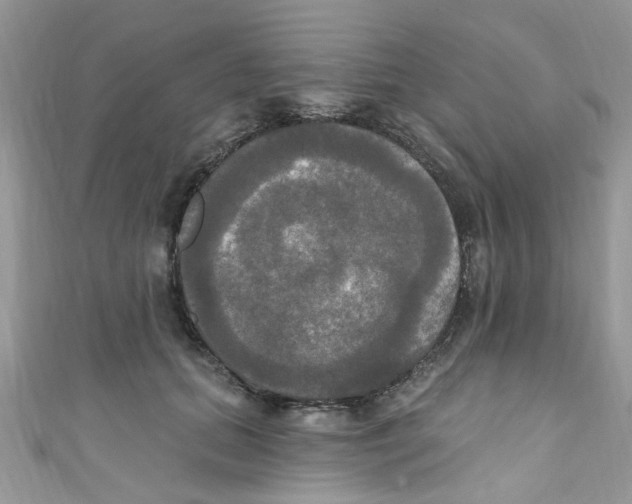 X0000111020655200907171856
