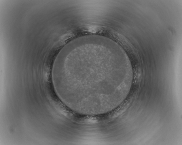 X0000111020656200907171856