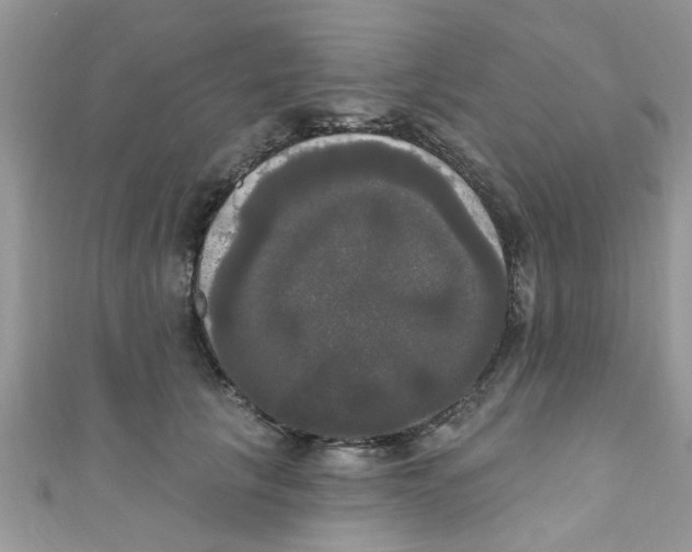 X0000111020657200907171856