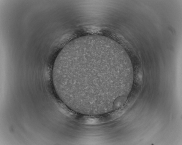 X0000111020658200907171856