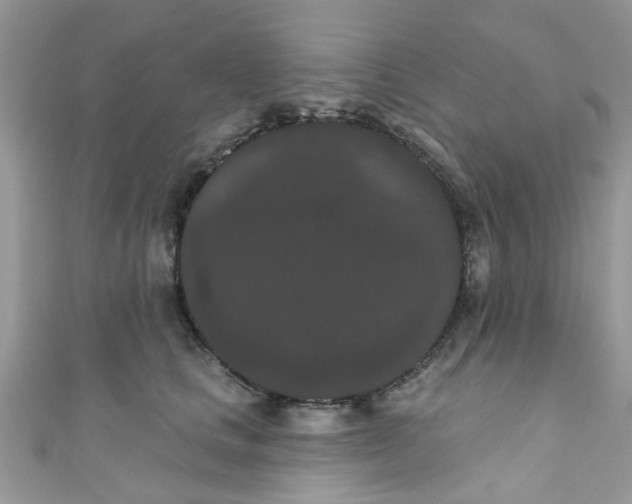 X0000111020661200907171856
