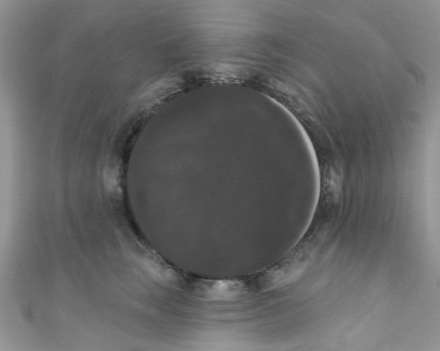 X0000111020663200907171856