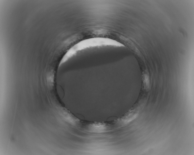 X0000111020668200907171856