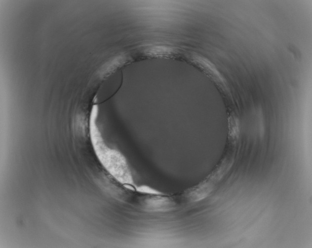 X0000111020669200907171856