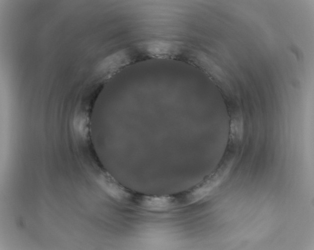 X0000111020671200907171856