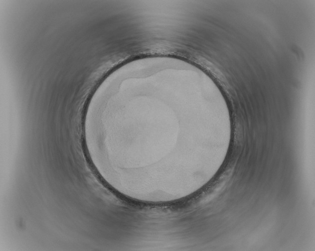 X0000111020673200907171856