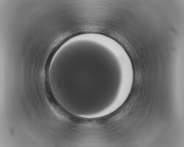 X0000111020674200907171856