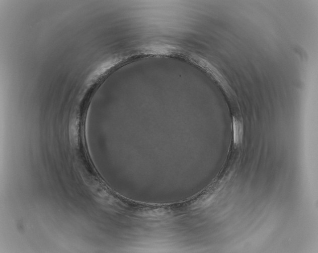 X0000111020675200907171856