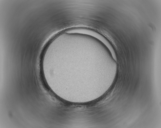 X0000111020676200907171856