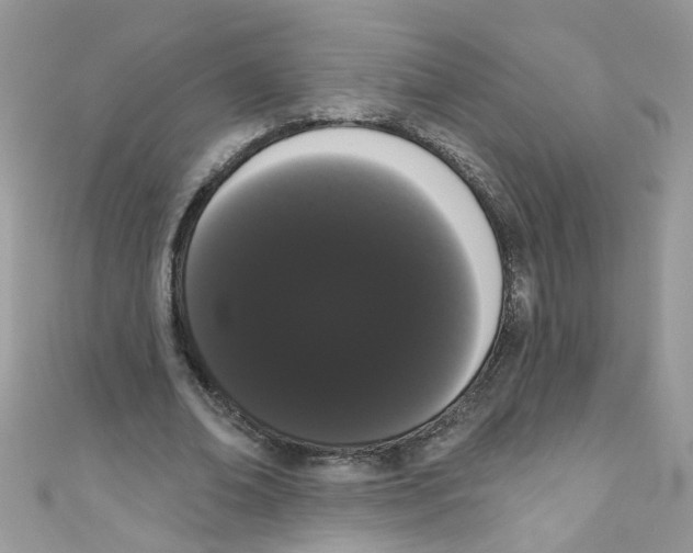 X0000111020678200907171856