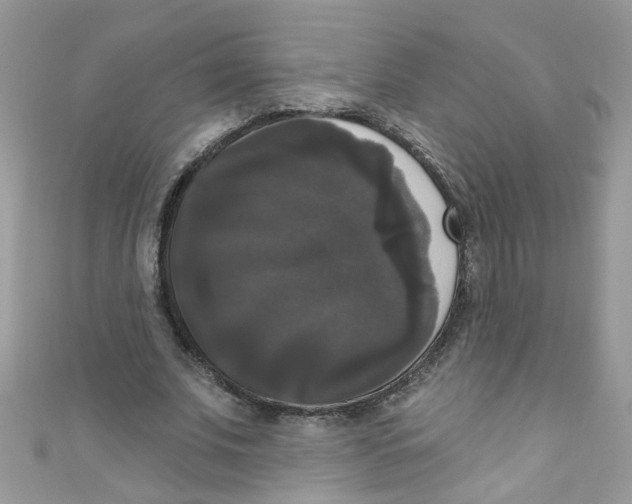 X0000111020679200907171856
