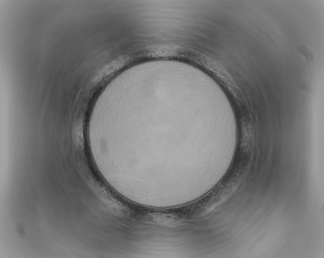 X0000111020681200907171856