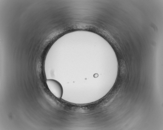 X0000111020683200907171856