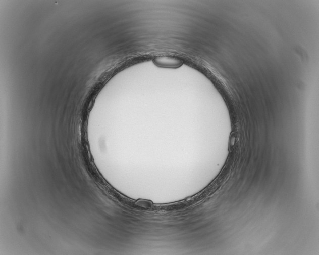 X0000111020685200907171856