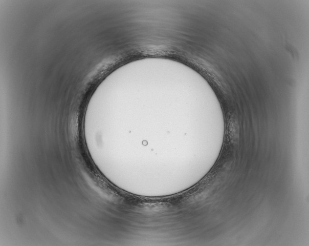 X0000111020686200907171855