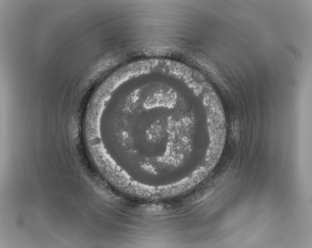 X0000111020687200907171855