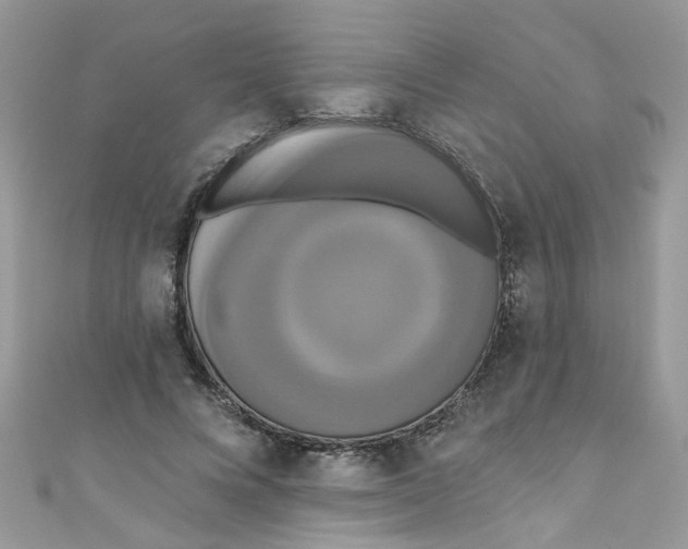 X0000111020688200907171855