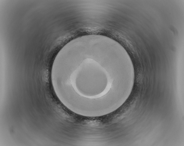 X0000111020689200907171855