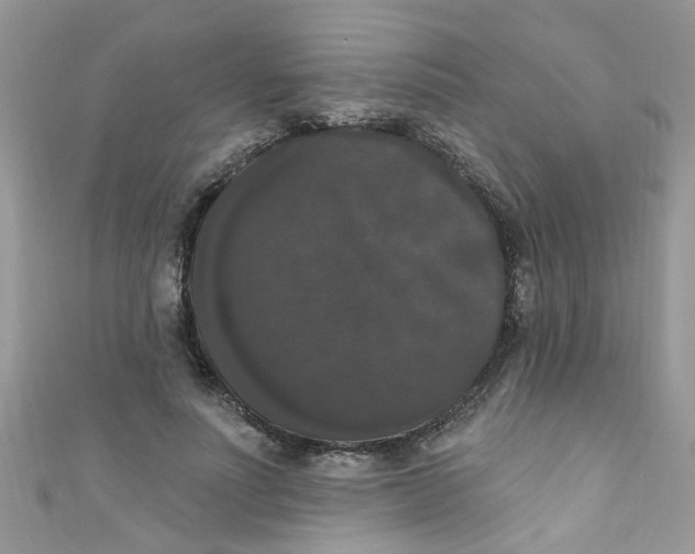 X0000111020691200907171855