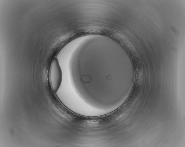 X0000111020692200907171855