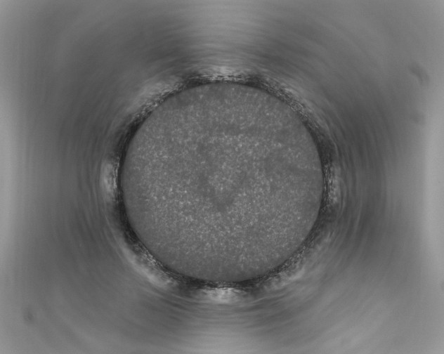 X0000111020695200907171855