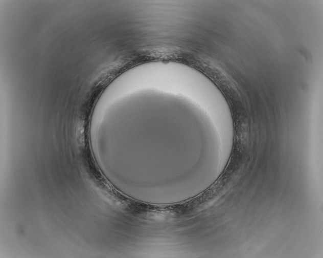 X0000111020696200907171855