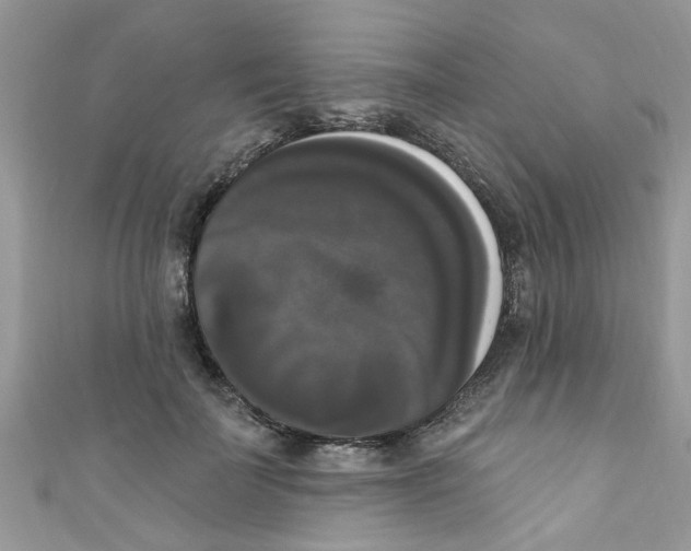 X0000111020699200907171855