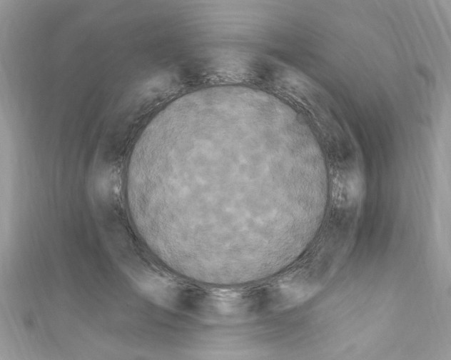 X0000111020701200907171855