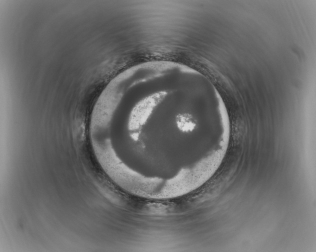 X0000111020703200907171855