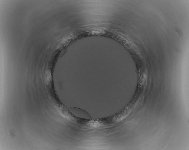 X0000111020704200907171855
