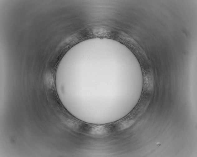 X0000111020705200907171855
