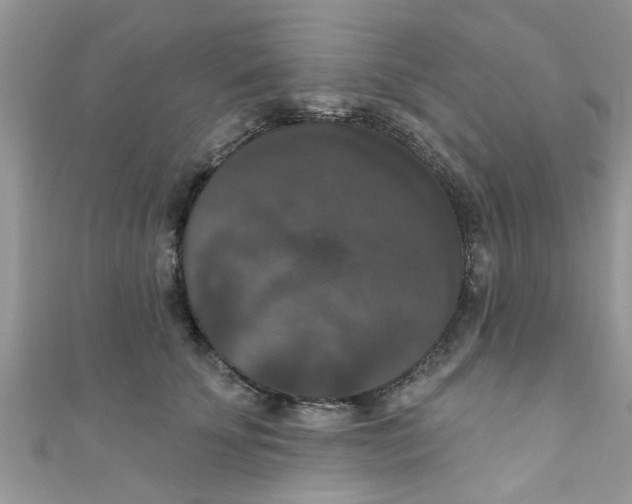 X0000111020707200907171855