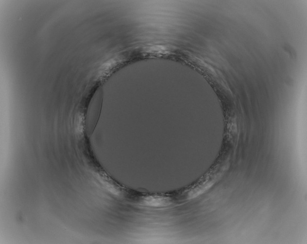 X0000111020708200907171855