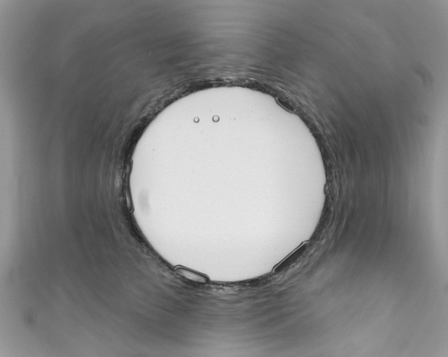 X0000111020709200907171855