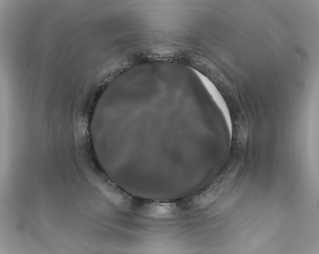 X0000111020711200907171855