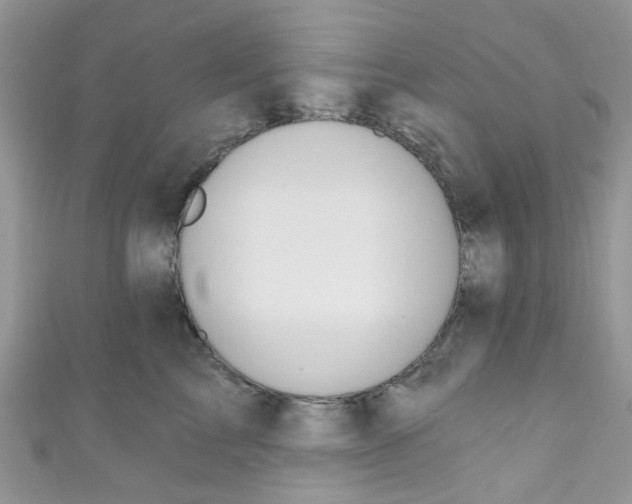 X0000111020713200907171855
