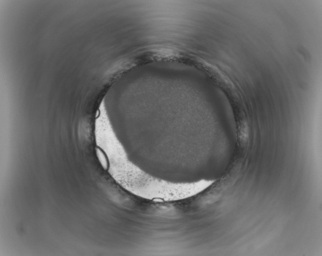 X0000111020715200907171855