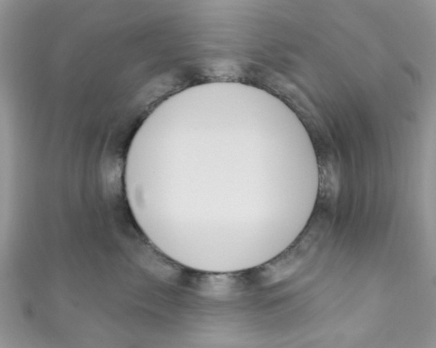X0000111020717200907171855