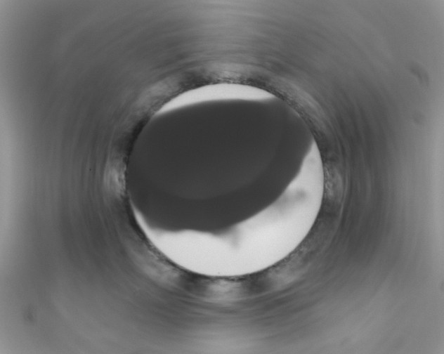 X0000111020718200907171855