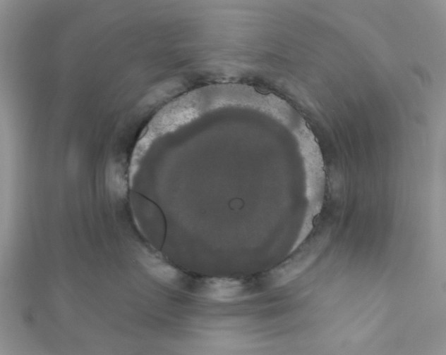 X0000111020719200907171855