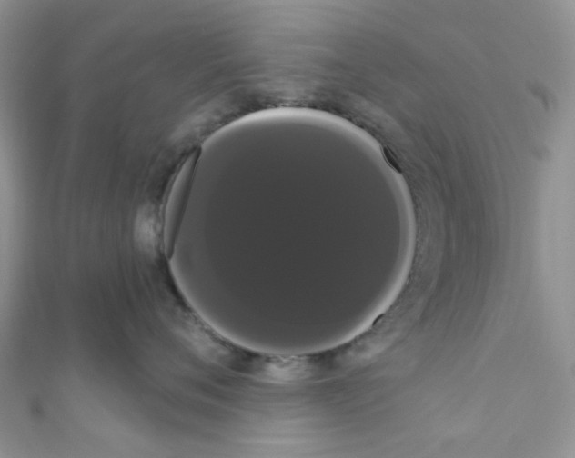 X0000111020720200907171855
